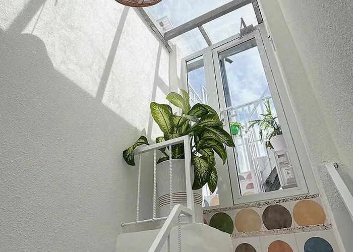 Nad Nguyên Căn Tại Căn hộ