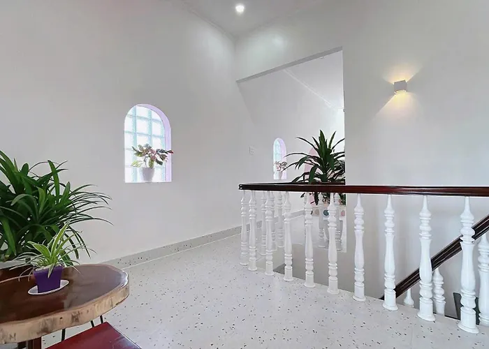 Nad Nguyên Căn Tại Căn hộ Phan Thiết