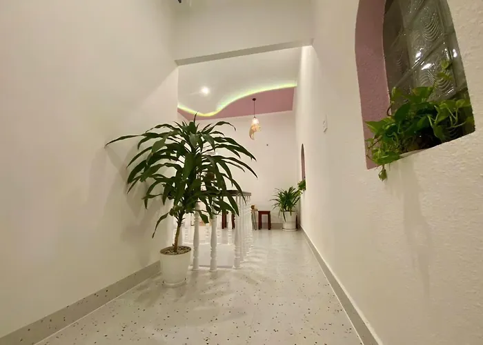 Nad Nguyên Căn Tại Căn hộ