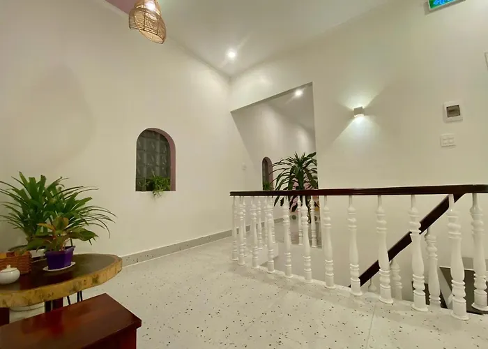 Nad Nguyên Căn Tại Phan Thiết