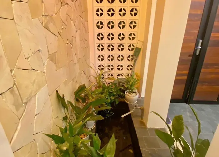 Nad Nguyên Căn Tại Căn hộ *